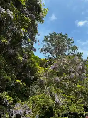 鹿島神宮(茨城県)