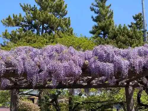 玉敷神社の庭園