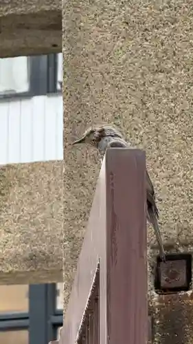 難波神社(大阪府)