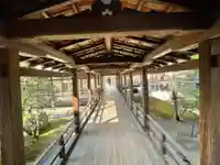 大覚寺(京都府)