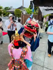 總社 和田八幡宮(福井県)(2024年05月13日(月) 21時27分47秒投稿)