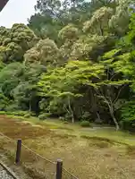 南禅院(京都府)