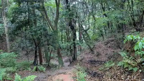 天開稲荷社の自然