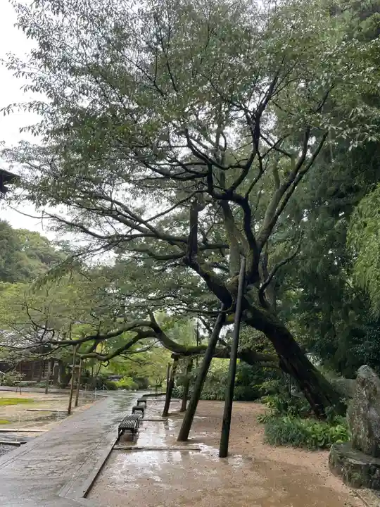 三角寺(愛媛県)
