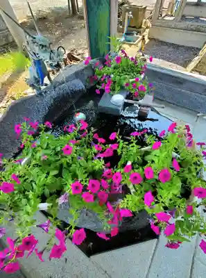 多田野本神社の手水舎