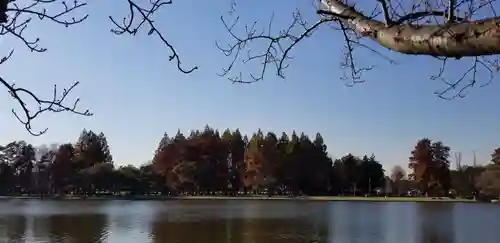 大下稲荷神社の景色