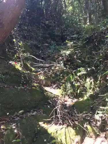 富士浅間神社の自然