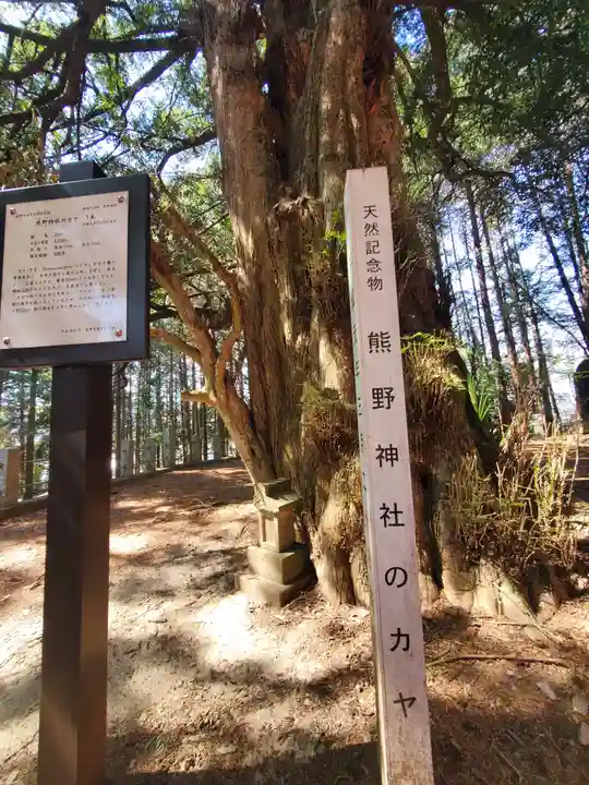 熊野神社 (船越町)(栃木県)