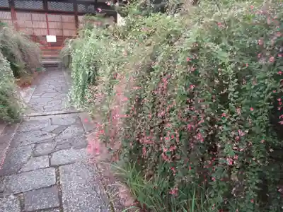 常林寺のその他建物