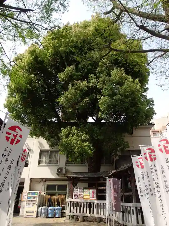 鳥越神社の自然