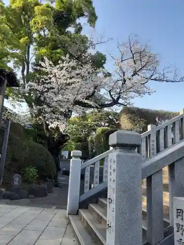 伊勢山皇大神宮(神奈川県)