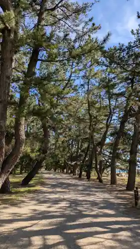 天橋立神社(京都府)