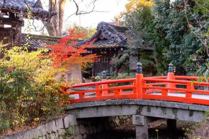 今宮神社(京都府)