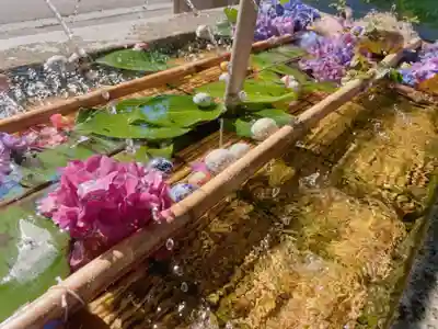 亀田八幡宮の手水舎