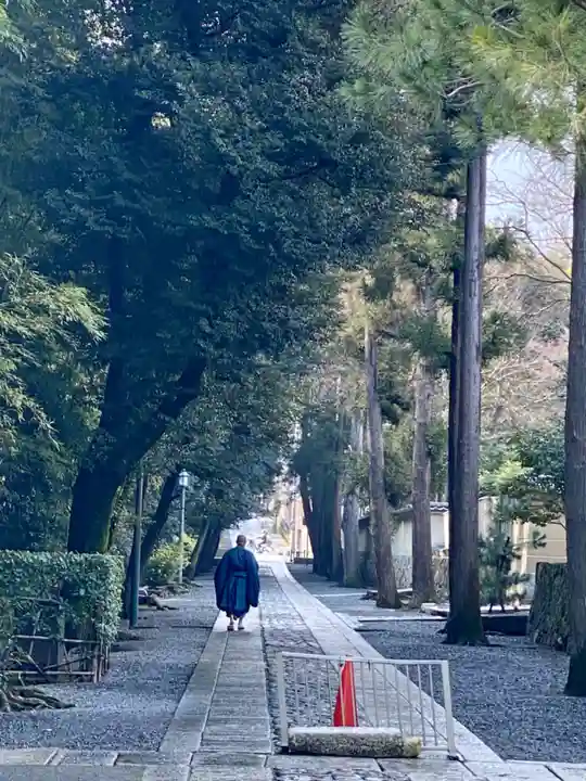 大徳寺(京都府)