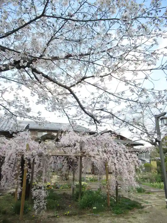 慶龍寺(茨城県)