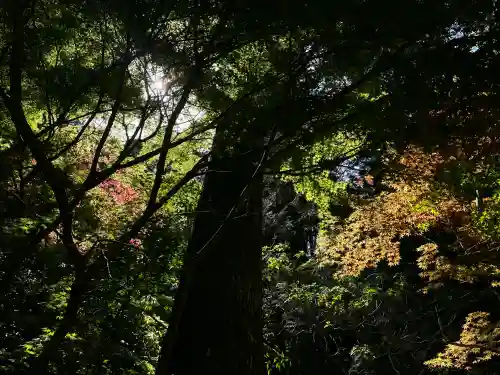 小國神社の{uncategorized: "未分類", other: "その他", undefined: "問題あり", building: "その他建物", grave: "お墓", sacred_gate: "鳥居", guardian: "狛犬", statue: "像", buddha: "仏像", history: "歴史", nature: "自然", garden: "庭園", animal: "動物", pagoda: "塔", temizu: "手水舎", mountain_gate: "山門・神門", sanctuary: "本殿・本堂", subordinate: "末社・摂社", art: "芸術", scenery: "景色", jizo: "地蔵", ema: "絵馬", goshuin: "御朱印", omikuji: "おみくじ", items: "授与品その他", amulet: "お守り", goshuincho: "御朱印帳", eats: "食事", festival: "お祭り", votive_dance: "神楽", shichigosan: "七五三参", wedding: "結婚式", experience: "体験その他", initially: "初詣", around: "周辺", anti_infection: "感染症対策"}