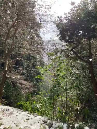 室生寺の{uncategorized: "未分類", other: "その他", undefined: "問題あり", building: "その他建物", grave: "お墓", sacred_gate: "鳥居", guardian: "狛犬", statue: "像", buddha: "仏像", history: "歴史", nature: "自然", garden: "庭園", animal: "動物", pagoda: "塔", temizu: "手水舎", mountain_gate: "山門・神門", sanctuary: "本殿・本堂", subordinate: "末社・摂社", art: "芸術", scenery: "景色", jizo: "地蔵", ema: "絵馬", goshuin: "御朱印", omikuji: "おみくじ", items: "授与品その他", amulet: "お守り", goshuincho: "御朱印帳", eats: "食事", festival: "お祭り", votive_dance: "神楽", shichigosan: "七五三参", wedding: "結婚式", experience: "体験その他", initially: "初詣", around: "周辺", anti_infection: "感染症対策"}