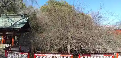 冠稲荷神社(群馬県)