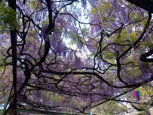 國領神社(東京都)