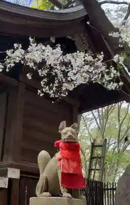 熊野神社(東京都)