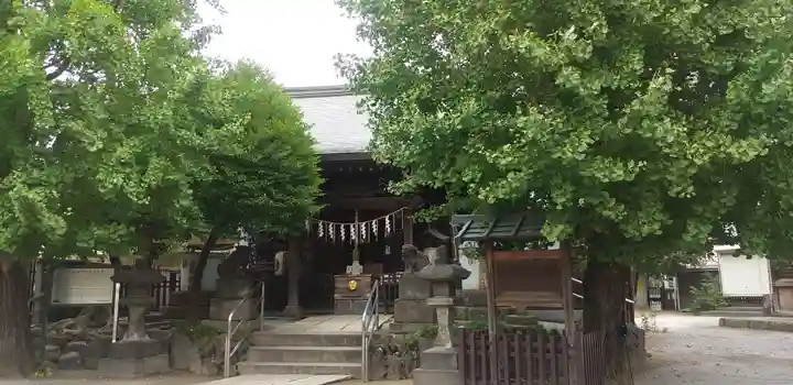 白髭神社の本殿・本堂