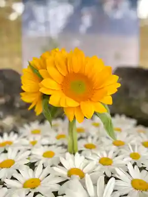 伊達神社(北海道)