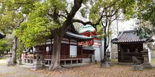 赤留比売命神社（杭全神社飛地境内社）(大阪府)