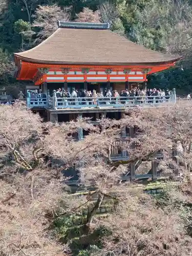 清水寺(京都府)
