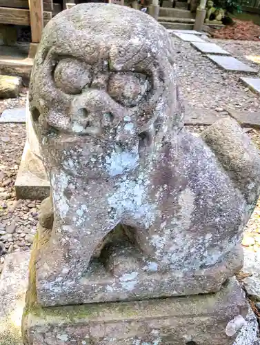 橿原神社の狛犬