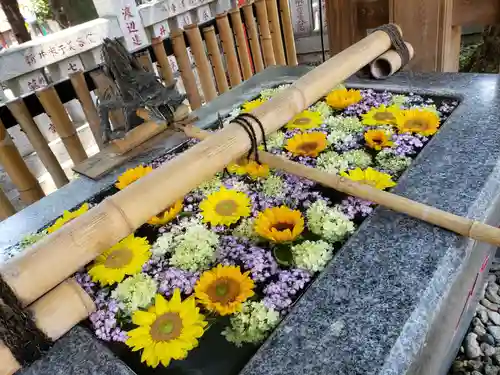 高円寺氷川神社の手水