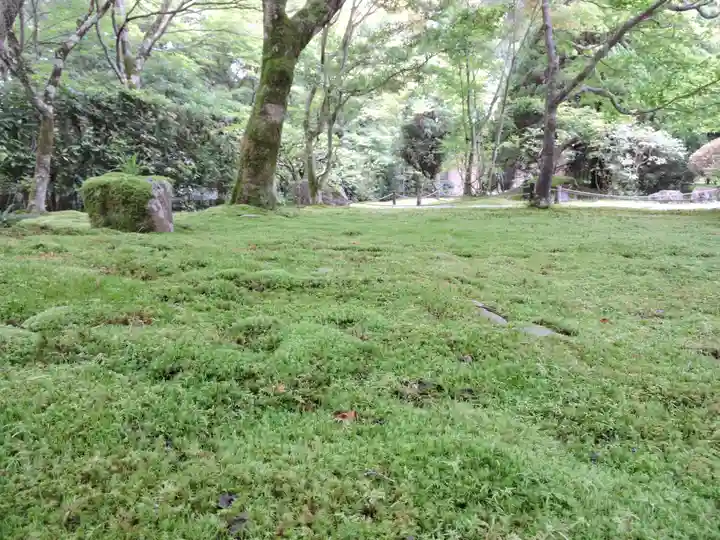 西芳寺(京都府)