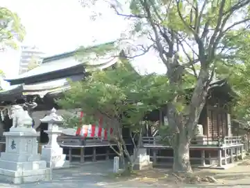 飛幡八幡宮の本殿・本堂