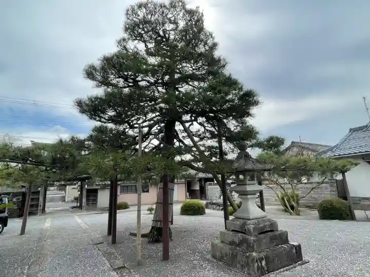 光延寺の{uncategorized: "未分類", other: "その他", undefined: "問題あり", building: "その他建物", grave: "お墓", sacred_gate: "鳥居", guardian: "狛犬", statue: "像", buddha: "仏像", history: "歴史", nature: "自然", garden: "庭園", animal: "動物", pagoda: "塔", temizu: "手水舎", mountain_gate: "山門・神門", sanctuary: "本殿・本堂", subordinate: "末社・摂社", art: "芸術", scenery: "景色", jizo: "地蔵", ema: "絵馬", goshuin: "御朱印", omikuji: "おみくじ", items: "授与品その他", amulet: "お守り", goshuincho: "御朱印帳", eats: "食事", festival: "お祭り", votive_dance: "神楽", shichigosan: "七五三参", wedding: "結婚式", experience: "体験その他", initially: "初詣", around: "周辺", anti_infection: "感染症対策"}