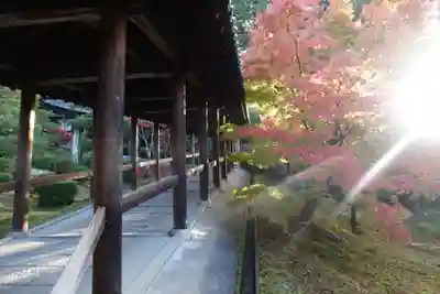 東福禅寺(東福寺)(京都府)