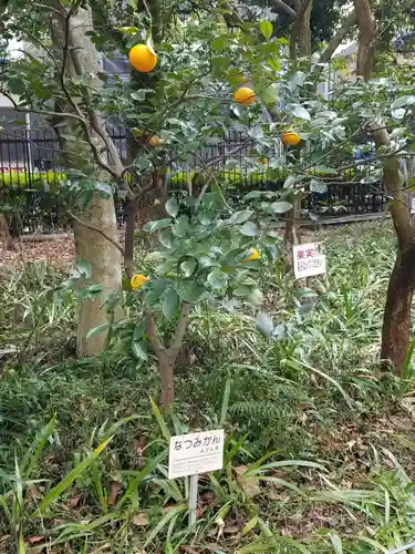 乗蓮寺の庭園