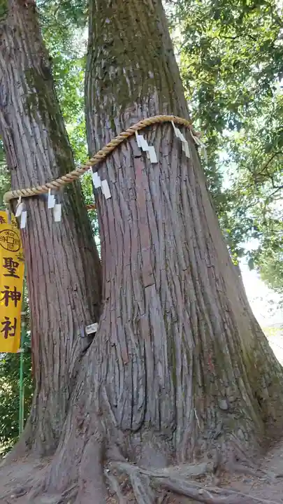 聖神社のその他建物
