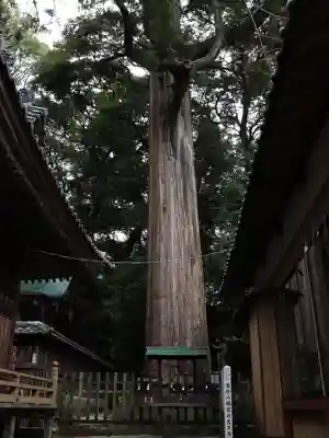 事任八幡宮(静岡県)