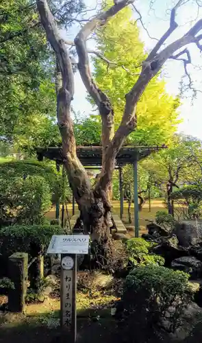 三寳寺の自然