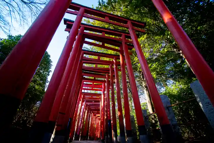根津神社の鳥居