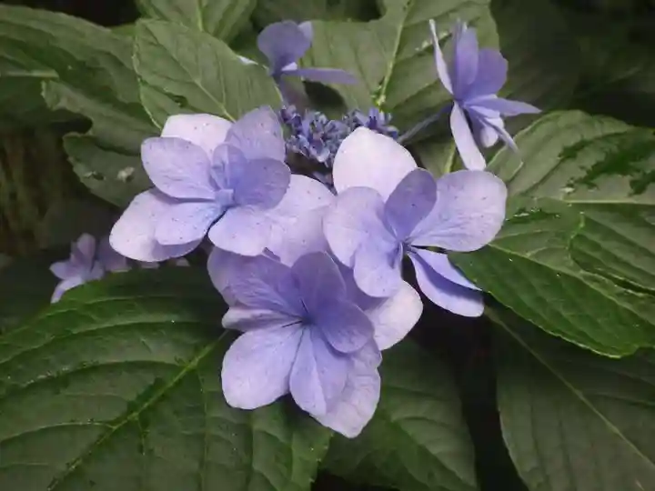 常盤神社(山口県)