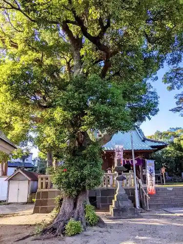 久里浜八幡神社のその他建物