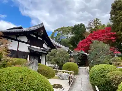 榮攝院（栄摂院）(京都府)