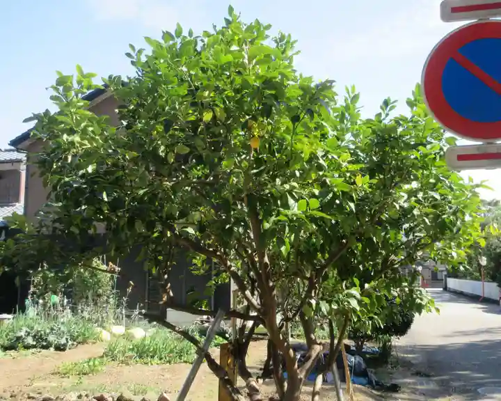 守山八幡宮(静岡県)