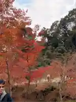 伏見稲荷大社(京都府)