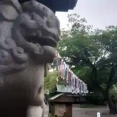 尾張大國霊神社（国府宮）の狛犬