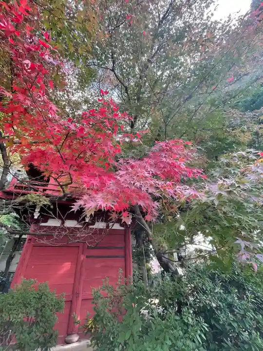 本土寺(千葉県)