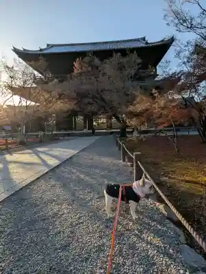 南禅寺(京都府)