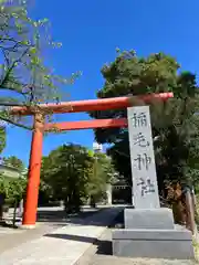 稲毛神社(神奈川県)