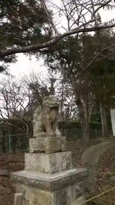 伊勢岡神明社の狛犬